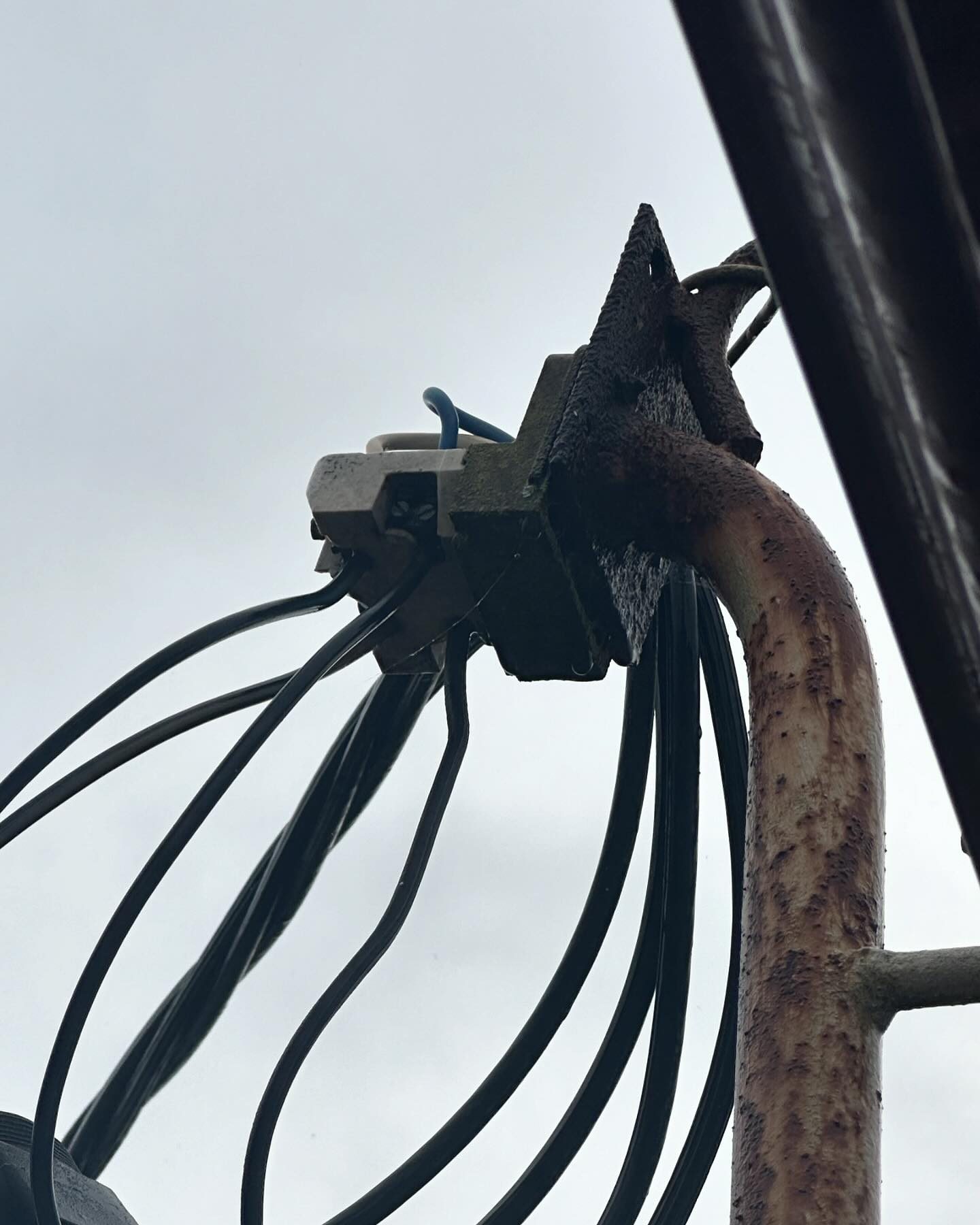 The top of an old timber pole crowded with weathered cables, before replacement